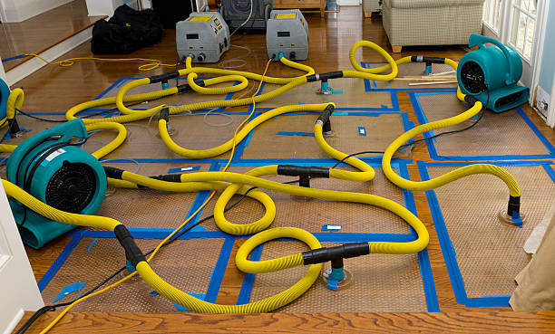 Professional Burst Pipe Water Damage technician working in Edgerton, OH